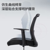 得力（deli） 87080S 人体工学电脑椅/靠背办公椅/职工椅 可拆卸腰托 钢制五星脚 透气网布 升降可控