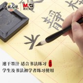 晨光(M&G)文具250ml高级速干墨汁 创作墨汁 文房四宝初学者书法绘画墨水 单瓶装AICW8806