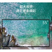 创维（SKYWORTH）55寸 WF55B03A超高清电视