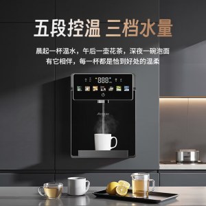 美德沃即热式净化壁挂机MDW-V02